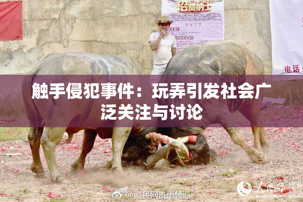 触手侵犯事件：玩弄引发社会广泛关注与讨论