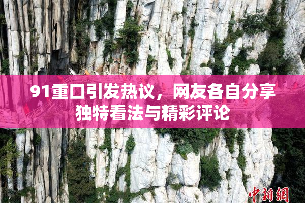 91重口引发热议，网友各自分享独特看法与精彩评论