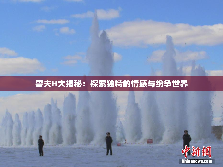兽夫H大揭秘：探索独特的情感与纷争世界