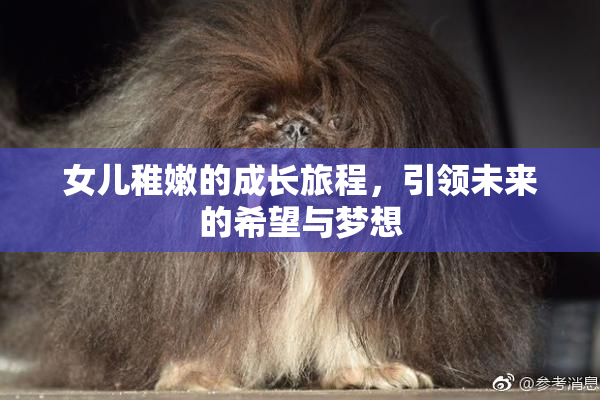 女儿稚嫩的成长旅程，引领未来的希望与梦想
