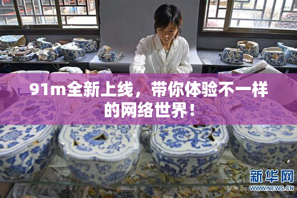 91m全新上线，带你体验不一样的网络世界！