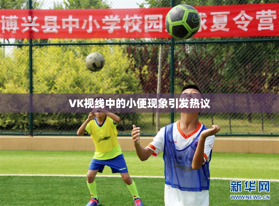VK视线中的小便现象引发热议