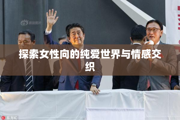 探索女性向的纯爱世界与情感交织