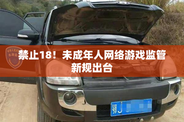 禁止18！未成年人网络游戏监管新规出台