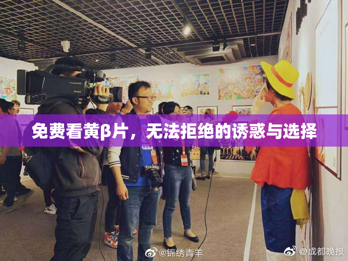 免费看黄β片，无法拒绝的诱惑与选择