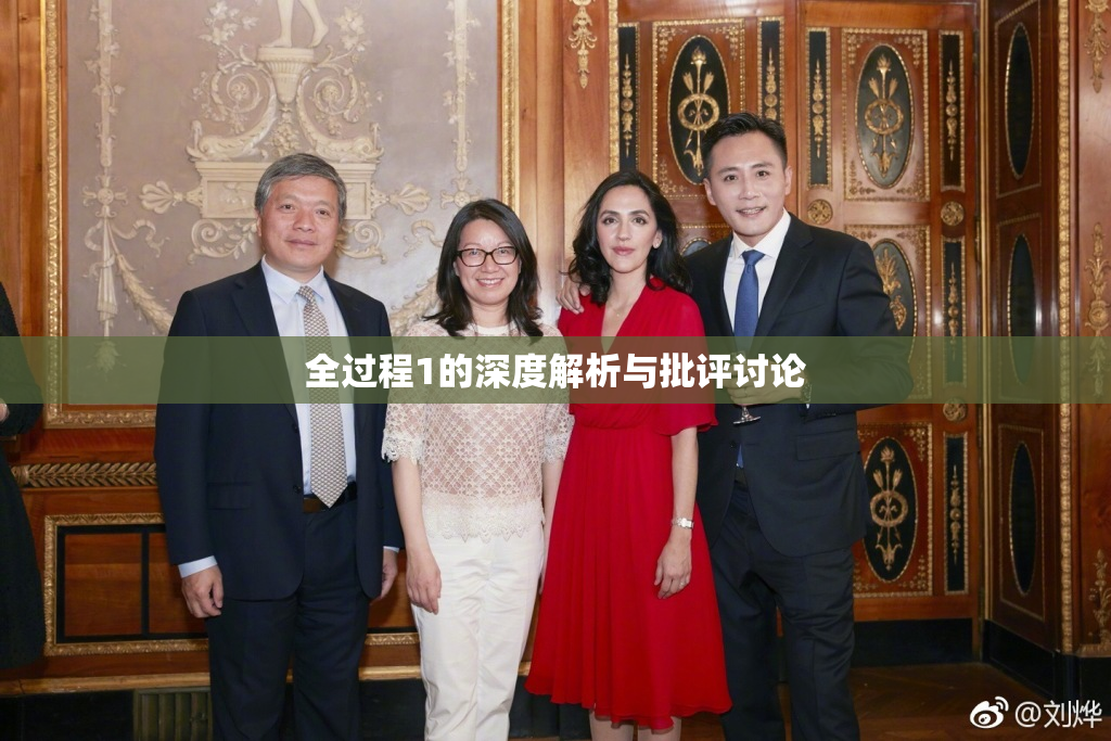 全过程1的深度解析与批评讨论