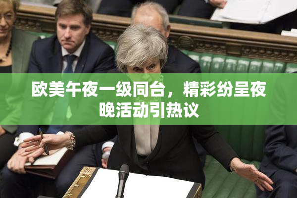 欧美午夜一级同台，精彩纷呈夜晚活动引热议