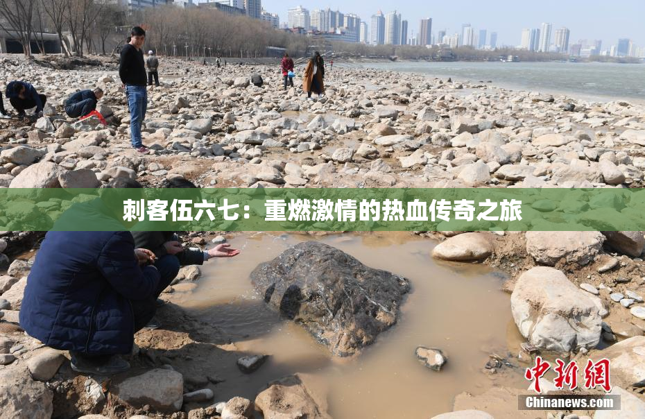 刺客伍六七：重燃激情的热血传奇之旅