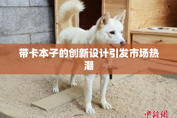 带卡本子的创新设计引发市场热潮