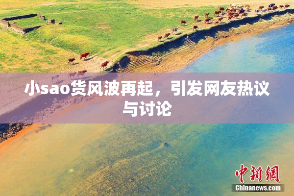 小sao货风波再起，引发网友热议与讨论