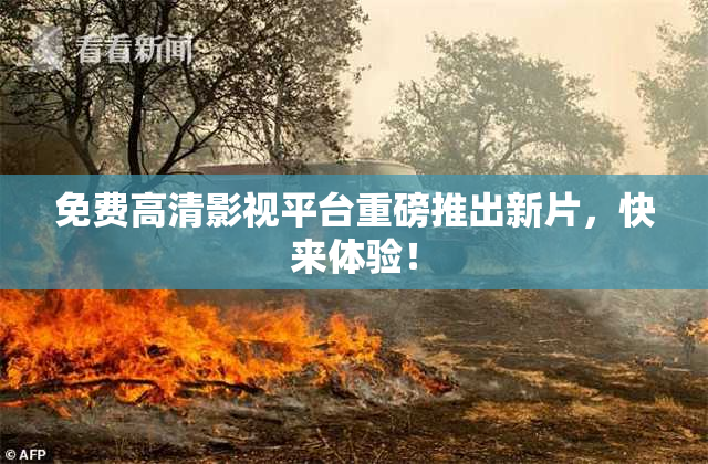 免费高清影视平台重磅推出新片，快来体验！