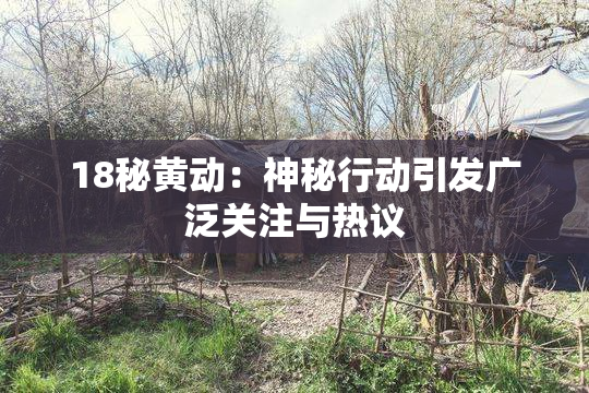 18秘黄动：神秘行动引发广泛关注与热议