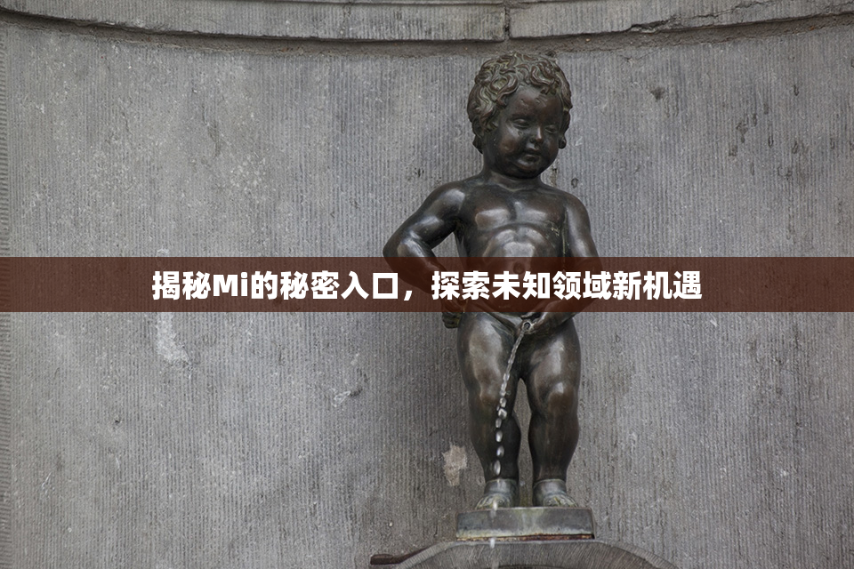 揭秘Mi的秘密入口，探索未知领域新机遇