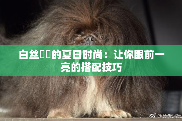 白丝妺妺的夏日时尚：让你眼前一亮的搭配技巧