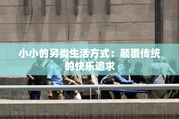 小小的另类生活方式：颠覆传统的快乐追求
