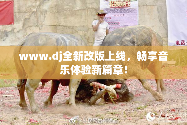 www.dj全新改版上线，畅享音乐体验新篇章！