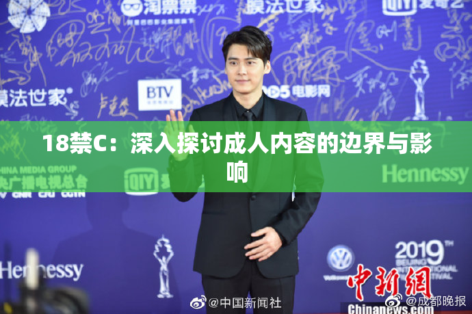 18禁C：深入探讨成人内容的边界与影响