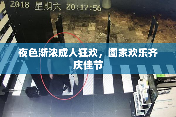 夜色渐浓成人狂欢，阖家欢乐齐庆佳节