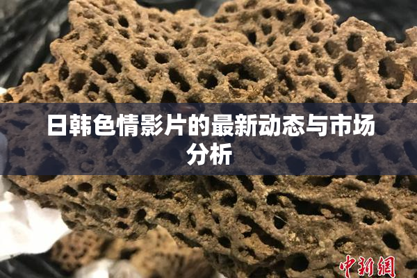 日韩色情影片的最新动态与市场分析