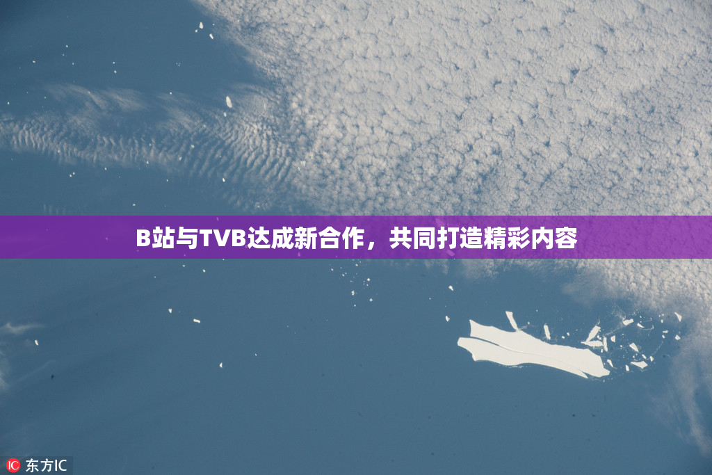 B站与TVB达成新合作，共同打造精彩内容