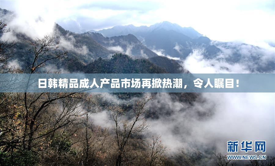 日韩精品成人产品市场再掀热潮，令人瞩目！