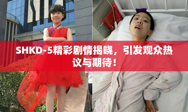 SHKD-5精彩剧情揭晓，引发观众热议与期待！