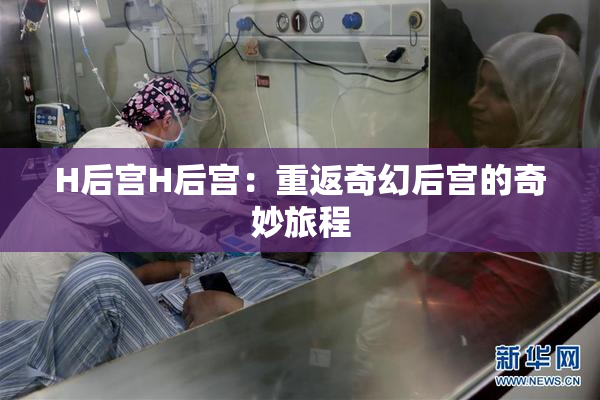 H后宫H后宫：重返奇幻后宫的奇妙旅程
