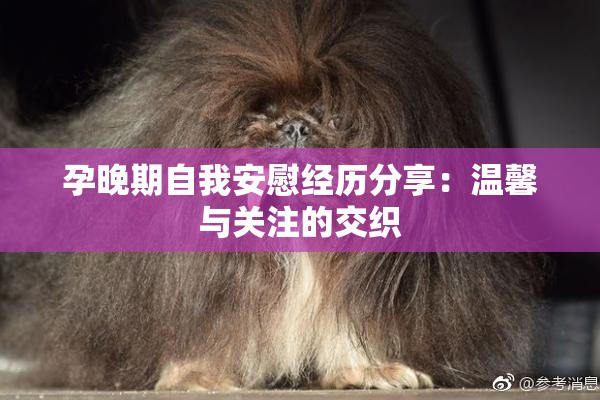 孕晚期自我安慰经历分享：温馨与关注的交织