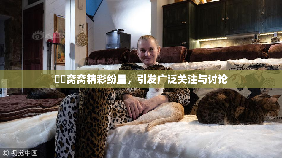 妺妺窝窝精彩纷呈，引发广泛关注与讨论