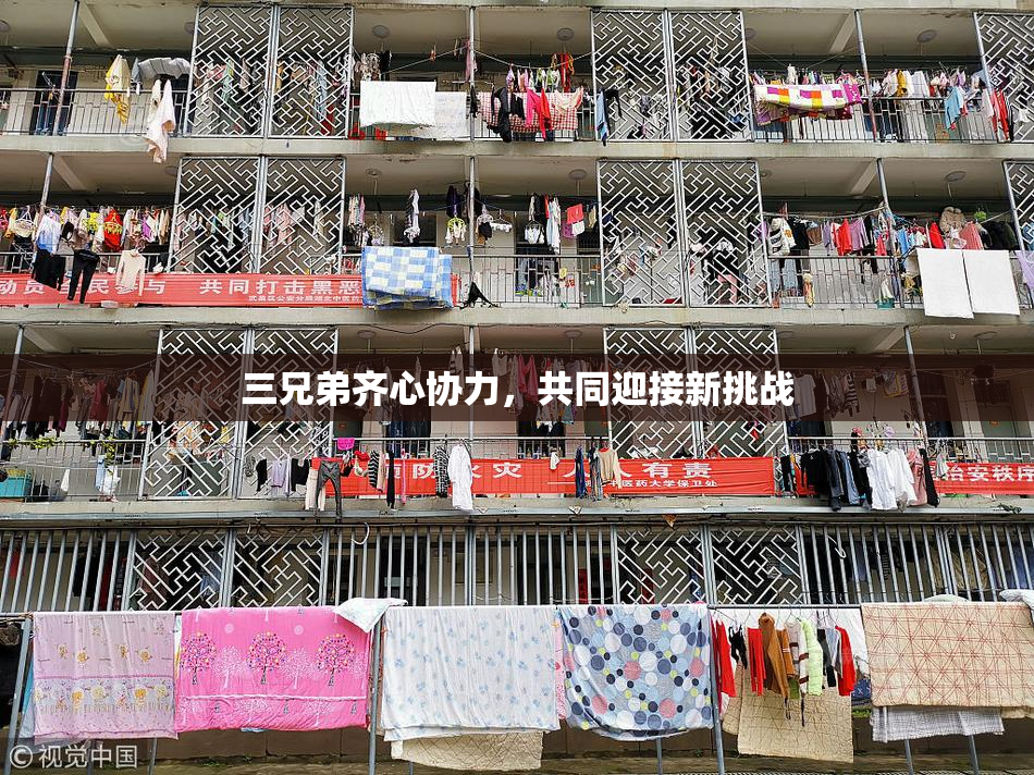三兄弟齐心协力，共同迎接新挑战