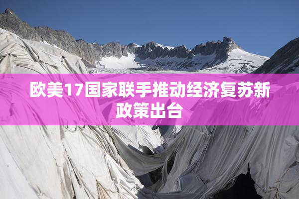 欧美17国家联手推动经济复苏新政策出台