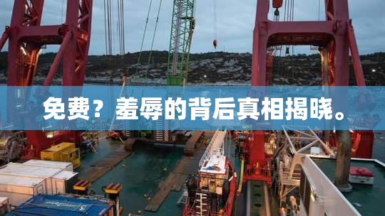免费？羞辱的背后真相揭晓。