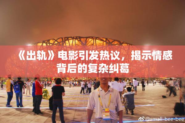 《出轨》电影引发热议，揭示情感背后的复杂纠葛