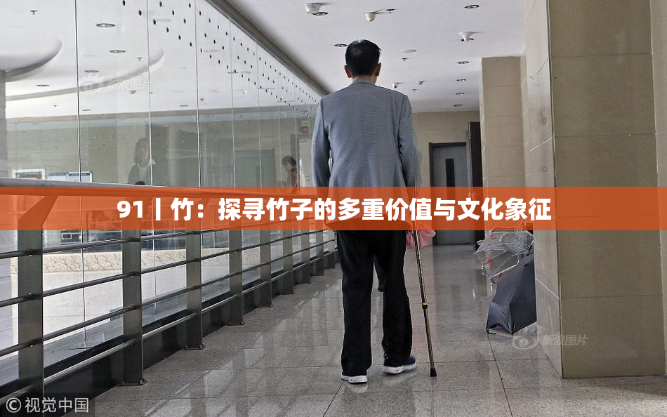 91丨竹：探寻竹子的多重价值与文化象征