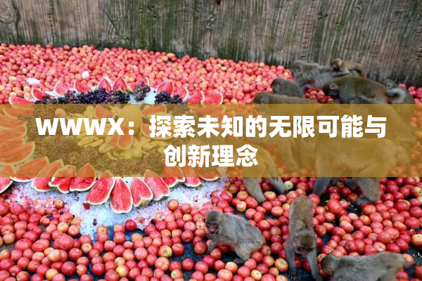 WWWX：探索未知的无限可能与创新理念