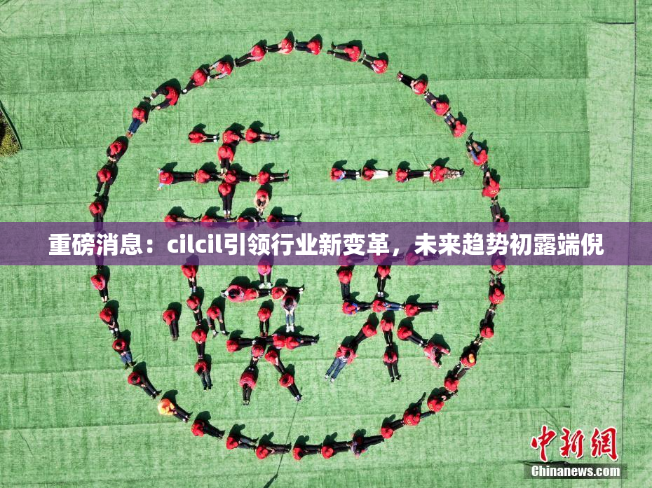 重磅消息：cilcil引领行业新变革，未来趋势初露端倪