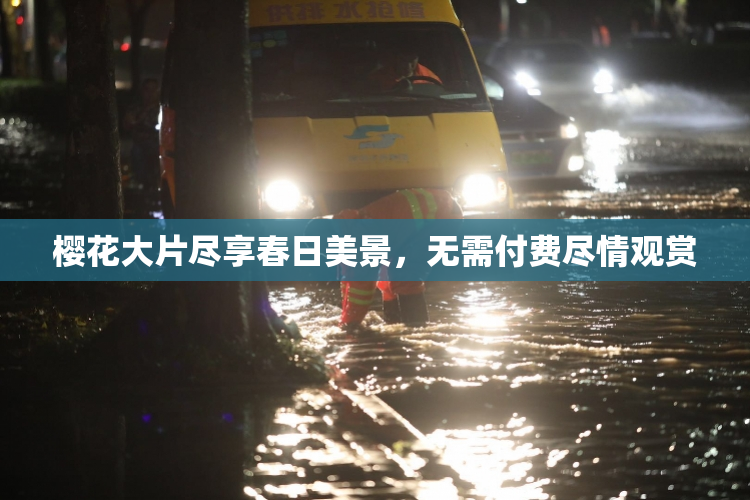 樱花大片尽享春日美景，无需付费尽情观赏