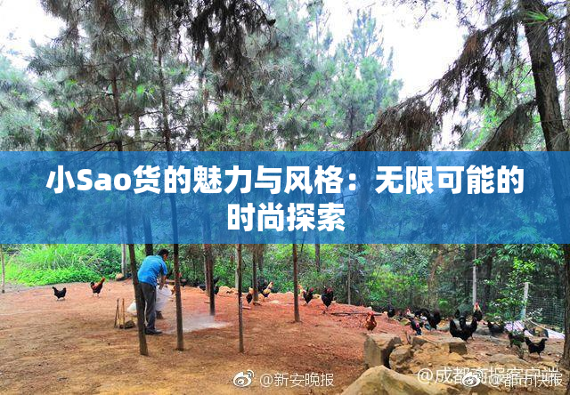 小Sao货的魅力与风格：无限可能的时尚探索