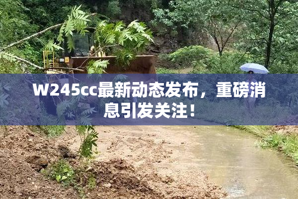 W245cc最新动态发布，重磅消息引发关注！
