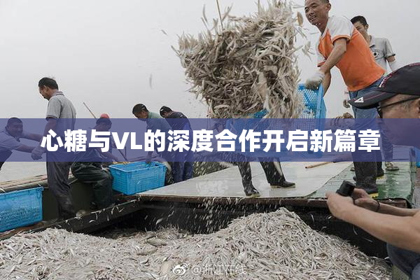 心糖与VL的深度合作开启新篇章