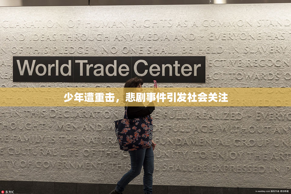 少年遭重击，悲剧事件引发社会关注