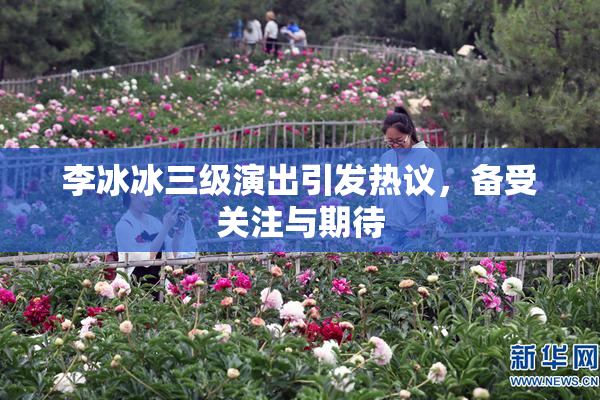 李冰冰三级演出引发热议，备受关注与期待