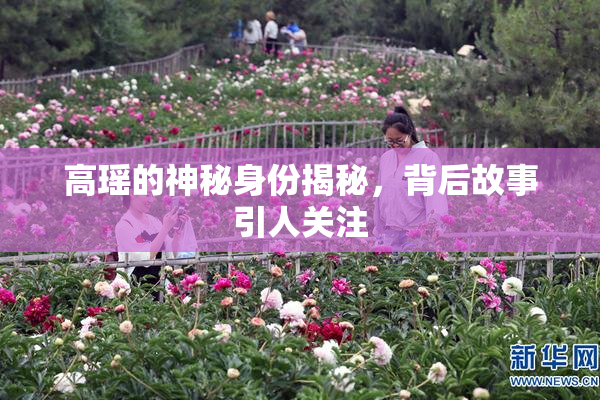 高瑶的神秘身份揭秘，背后故事引人关注