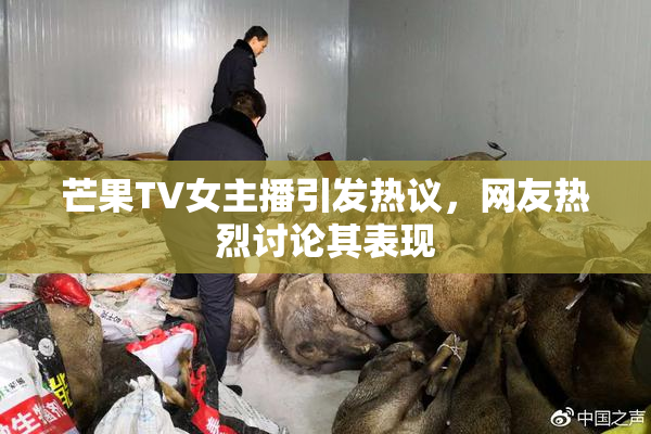 芒果TV女主播引发热议，网友热烈讨论其表现