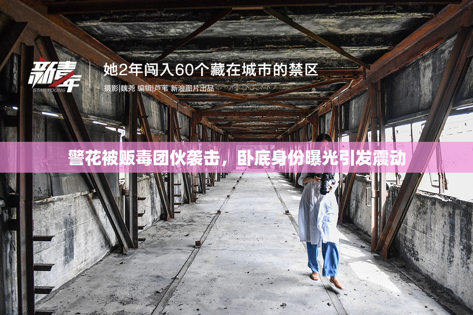 警花被贩毒团伙袭击，卧底身份曝光引发震动