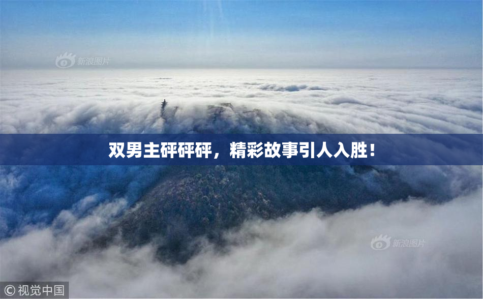 双男主砰砰砰，精彩故事引人入胜！