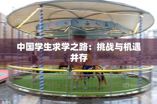 中国学生求学之路：挑战与机遇并存