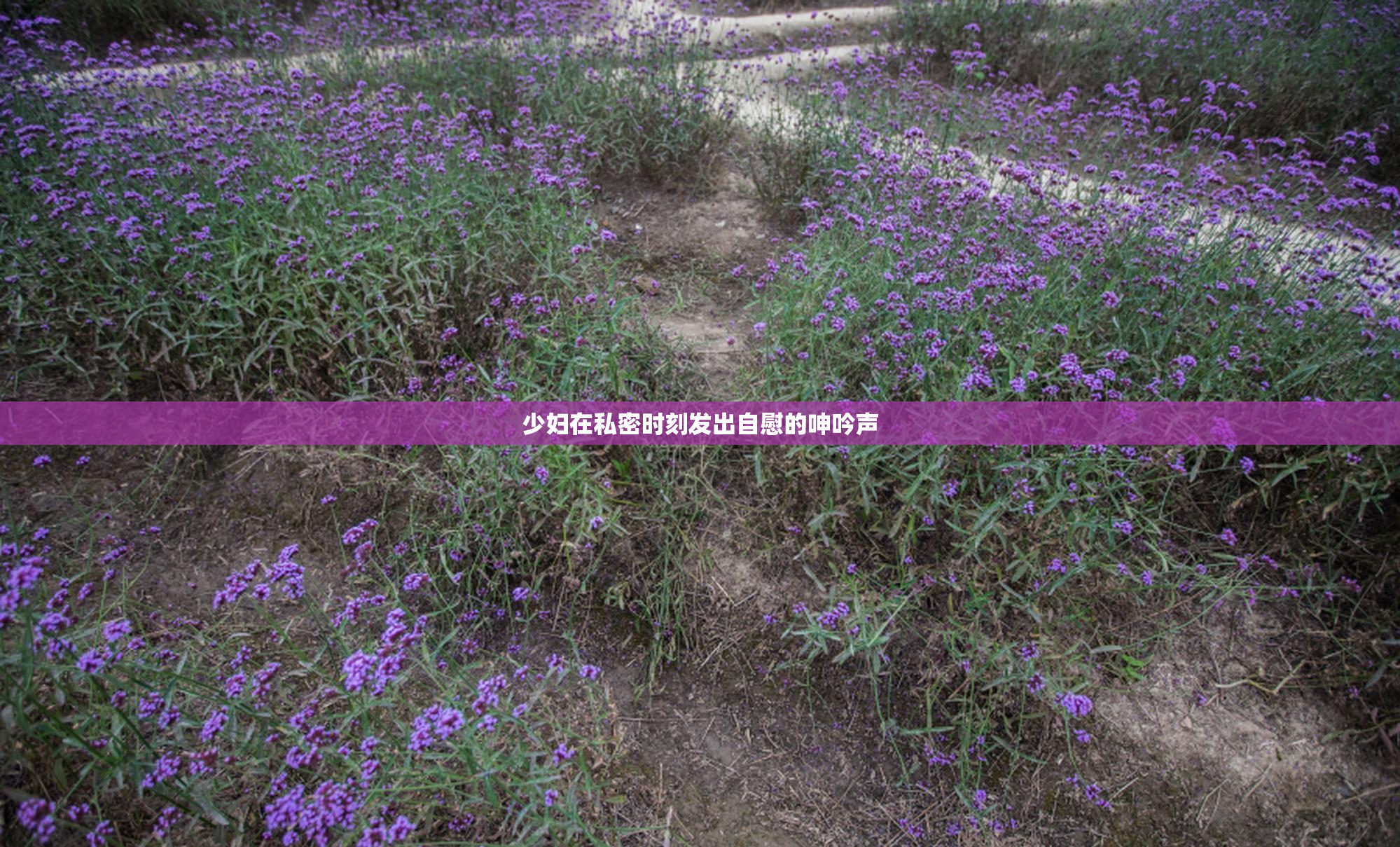少妇在私密时刻发出自慰的呻吟声