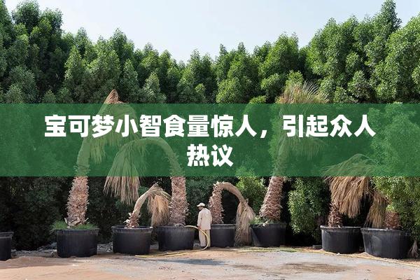 宝可梦小智食量惊人，引起众人热议