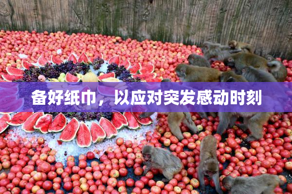备好纸巾，以应对突发感动时刻